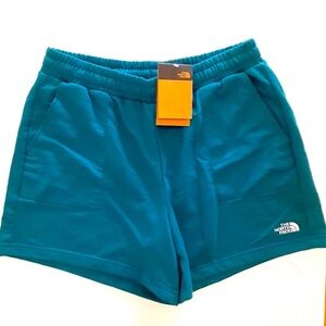 The North Face Women's Blue Athletic Shorts ( L )